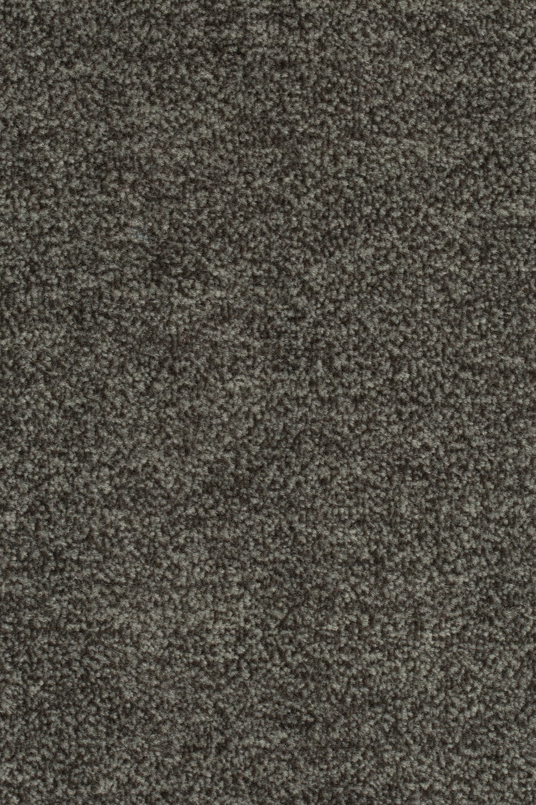 Velano Teppichboden Farbe 820
