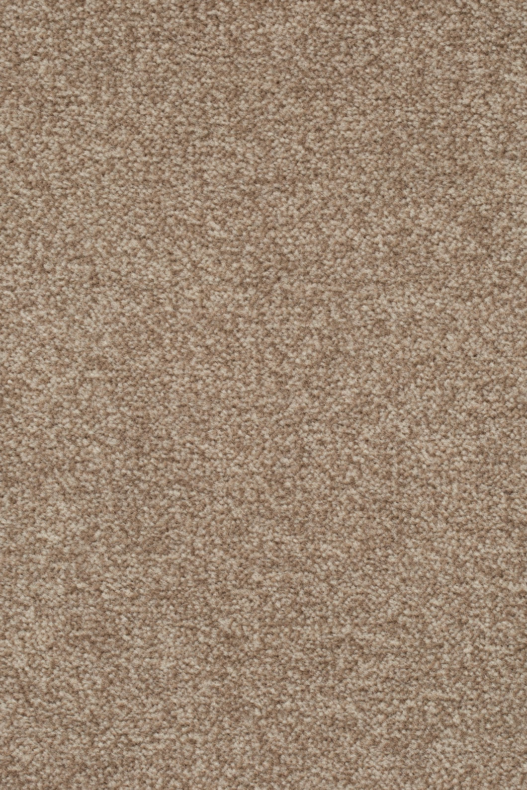 Velano Teppichboden Farbe 262