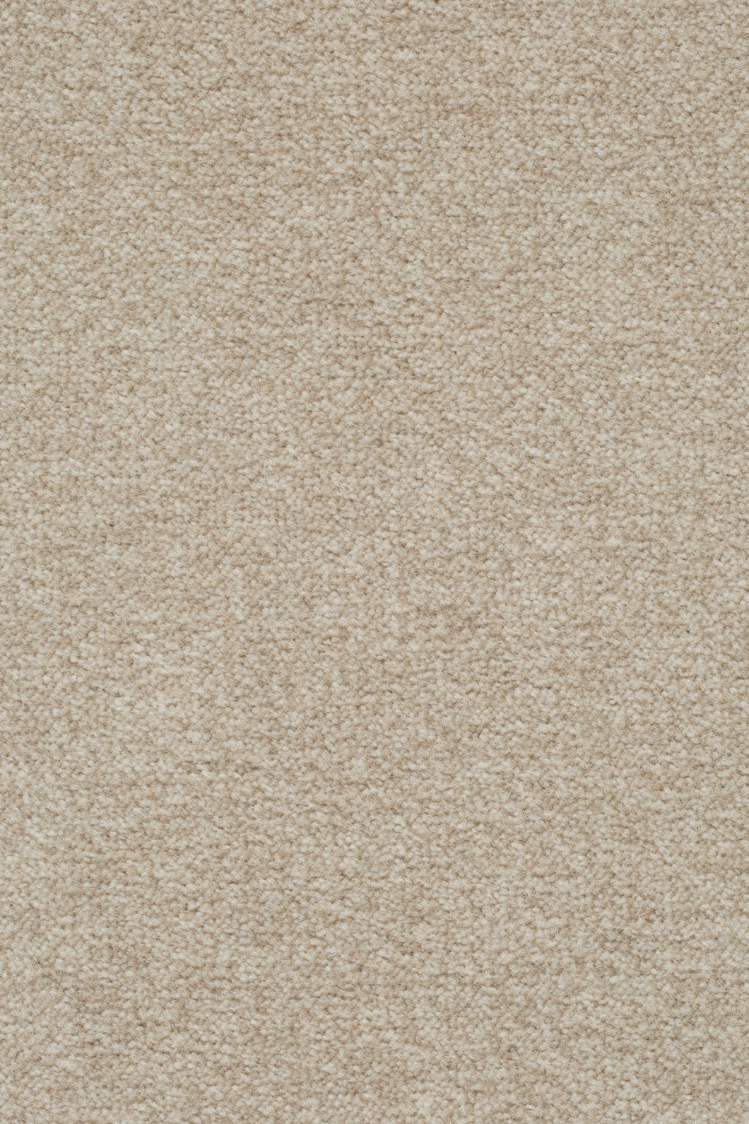 Velano Teppichboden Farbe 252