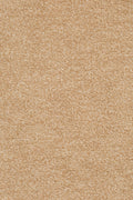 Farbe 231
