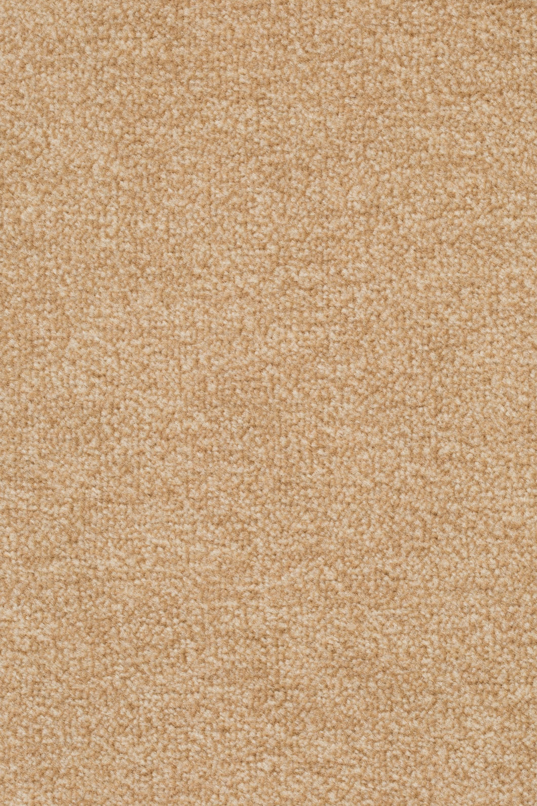 Velano Teppichboden Farbe 231