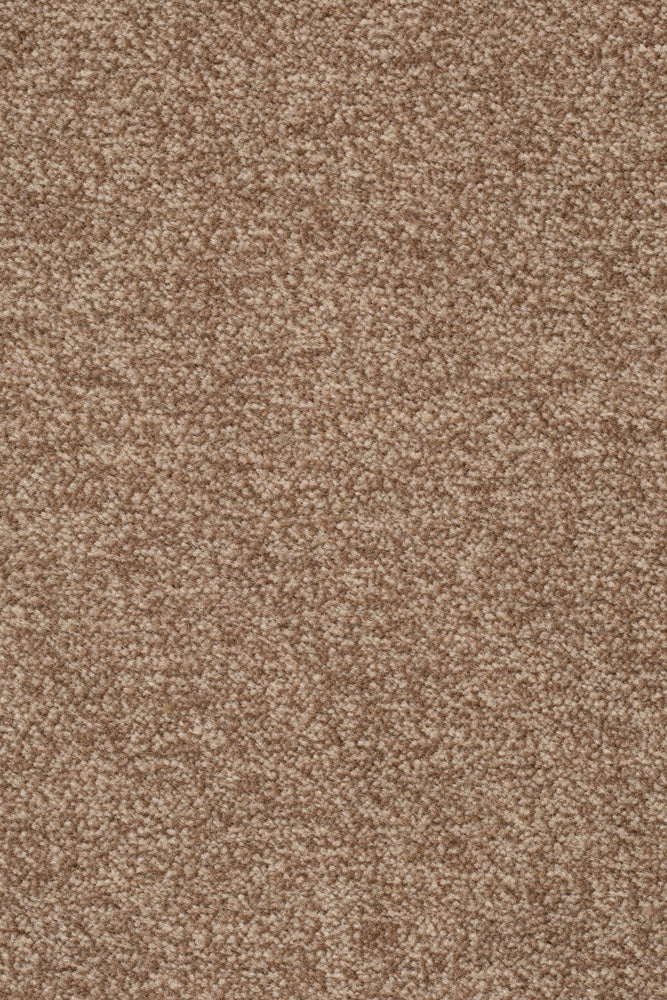 Velano Teppichboden Farbe 221