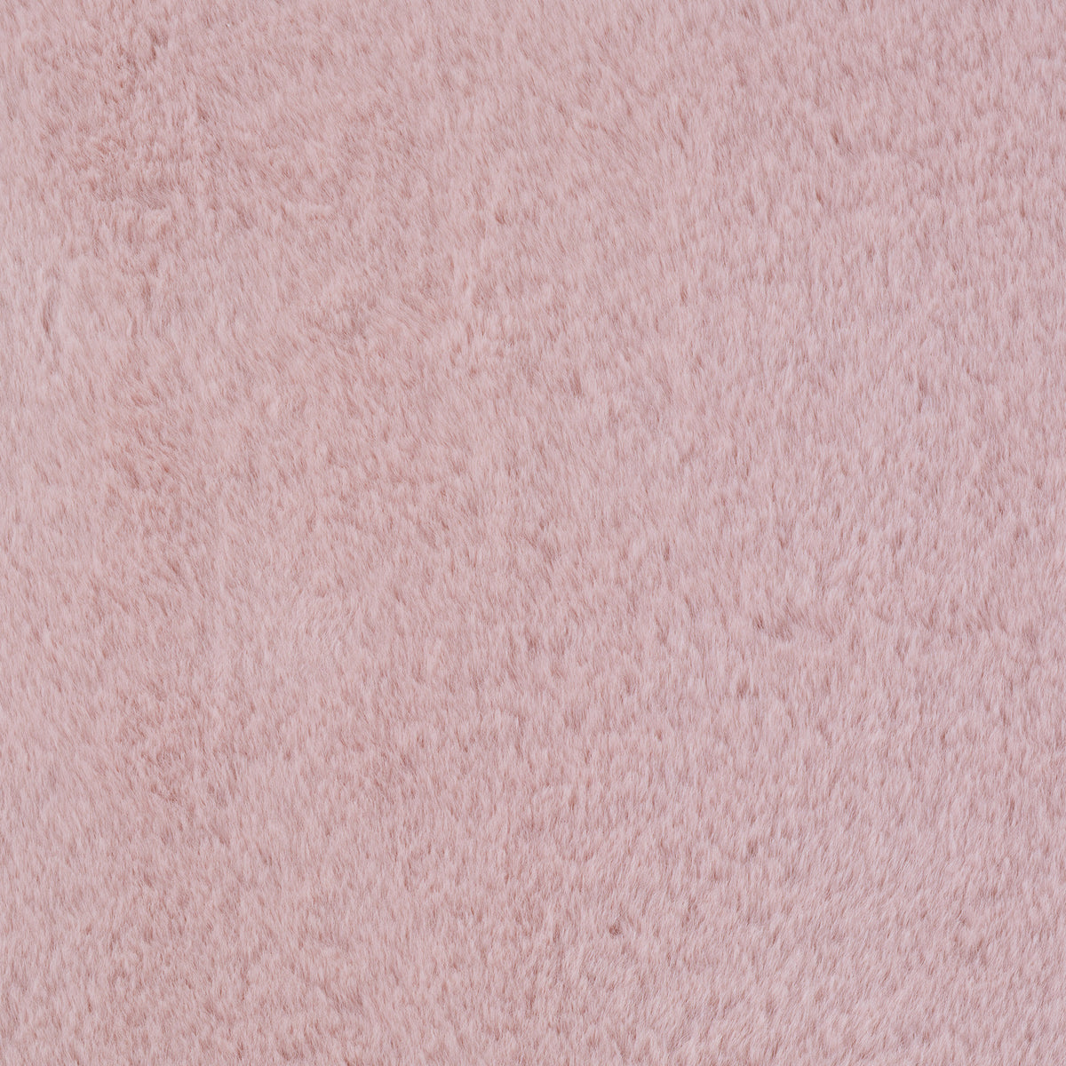 Joy 1400 Rose Kurzflor