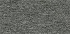 Rapidia Teppichfliese 50x50cm, Grau Dunkel (0573)