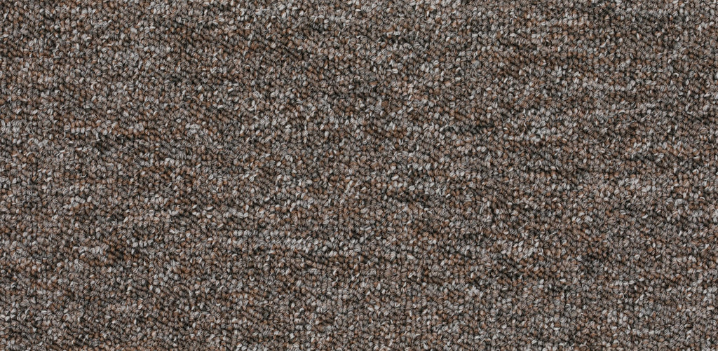 Rapidia Teppichfliese 50x50cm, Grau Dunkel Warm (0529)
