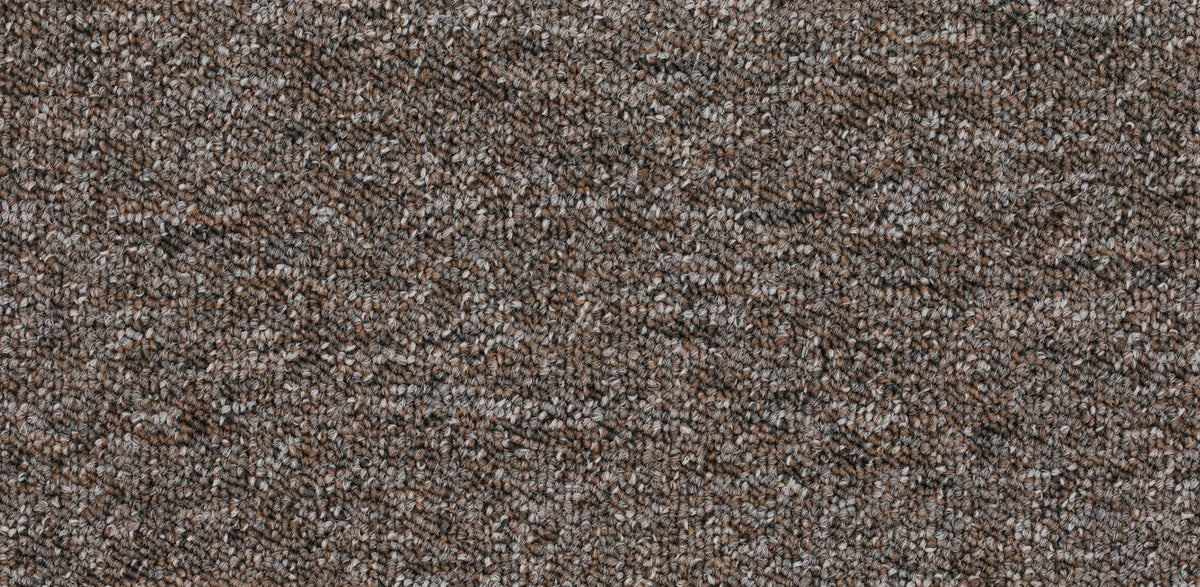 Rapidia Teppichfliese 50x50cm, Grau Dunkel Warm (0529)