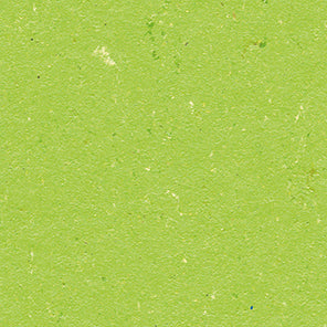 Coloria Linoleumboden Farbe 4332 A