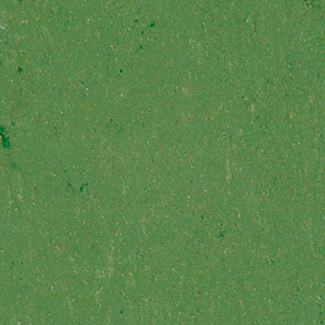 Coloria Linoleumboden Farbe 4306 A