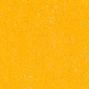 Coloria Linoleumboden Farbe 4301 A