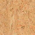 Beige Warm