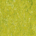 Gelb Grün