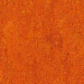 Jokaleum Neocare Linoleumboden Farbe 4217
