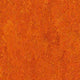 Orange Warm