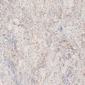 Beige Grau Hell Meliert