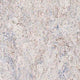 Beige Grau Hell Meliert