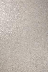 Granitera Granit Hellgrau – Vinylboden von der Rolle