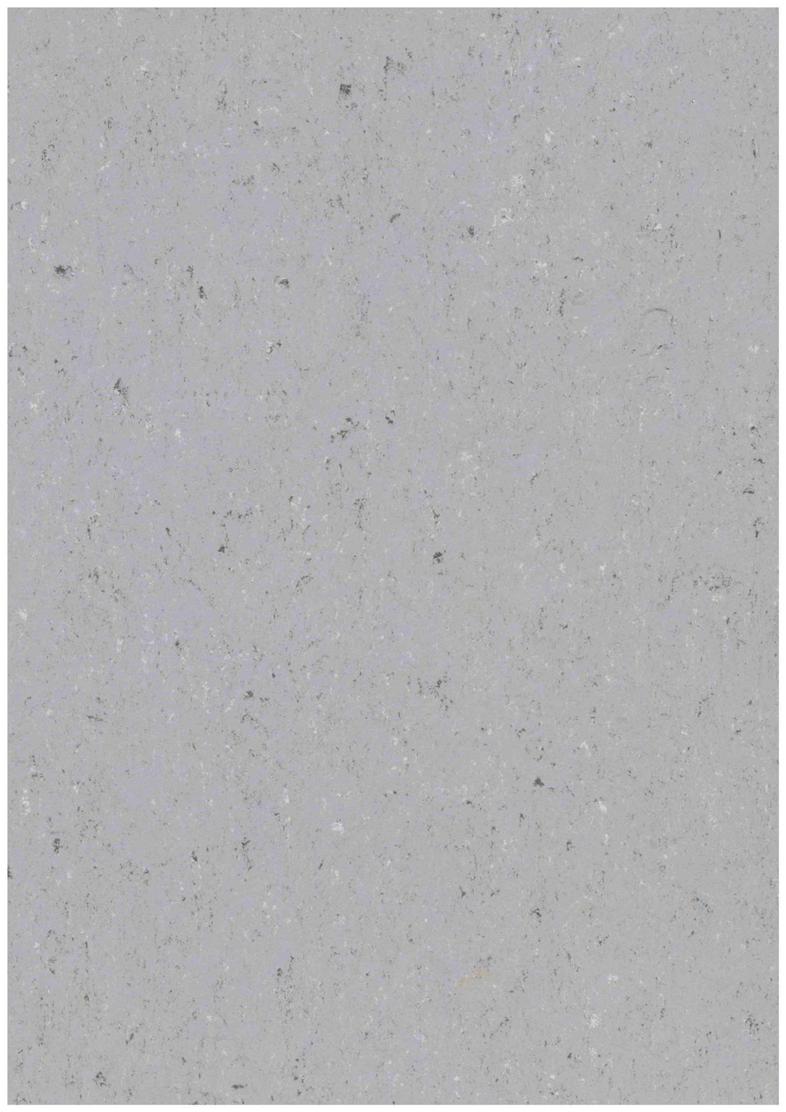 Coloria Linoleumboden Farbe 4358
