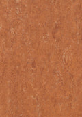 Braun Rot