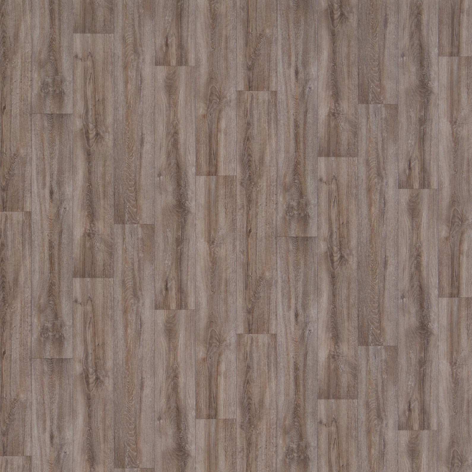 Marano Vinylboden Eiche Taupe