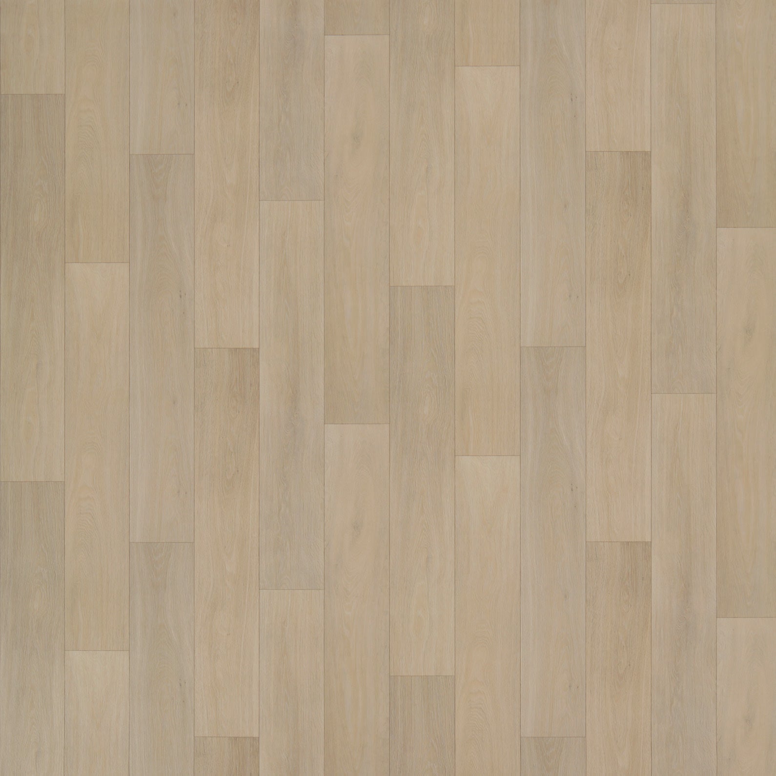 Marano Eiche Hellbeige – Vinylboden von der Rolle