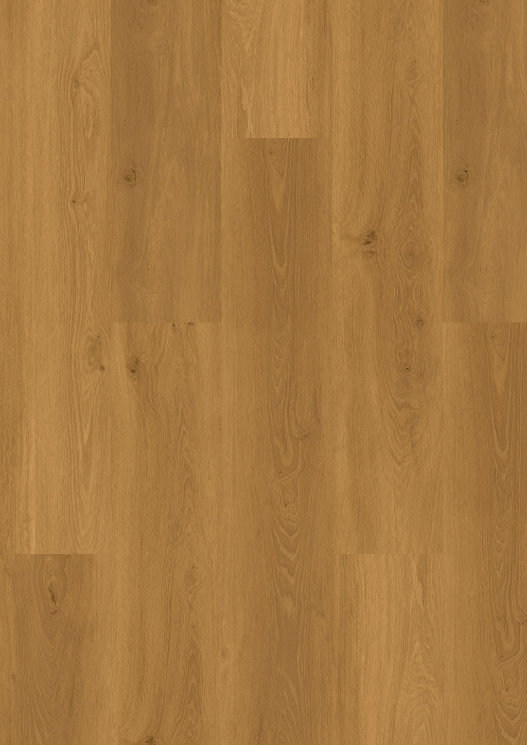 Amara Eiche Natura Klebevinyl