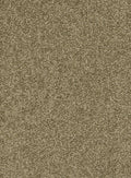Farbe 24