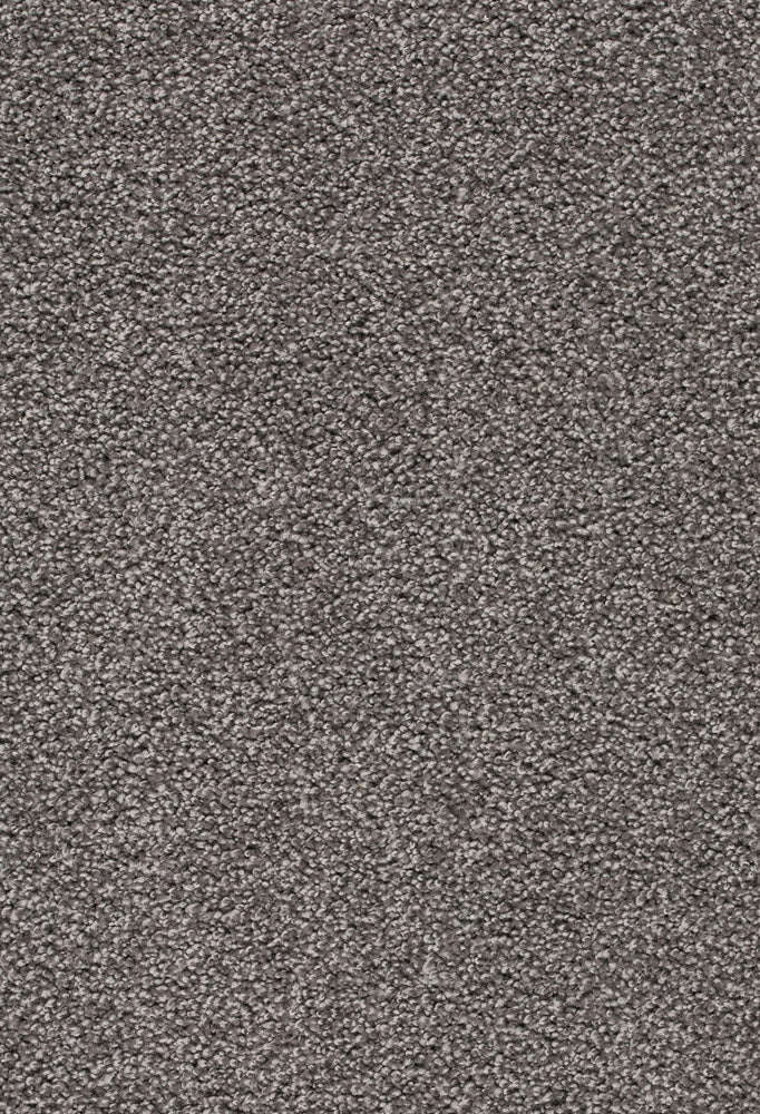 Zafira Farbe 830