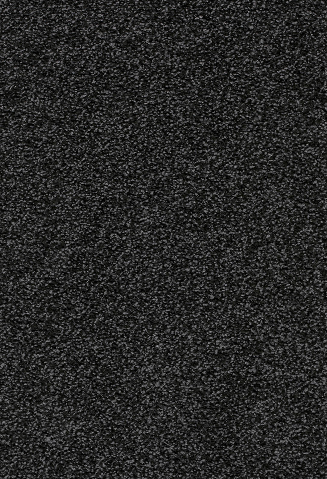 Zafira Farbe 800