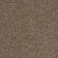Taupe Dunkel