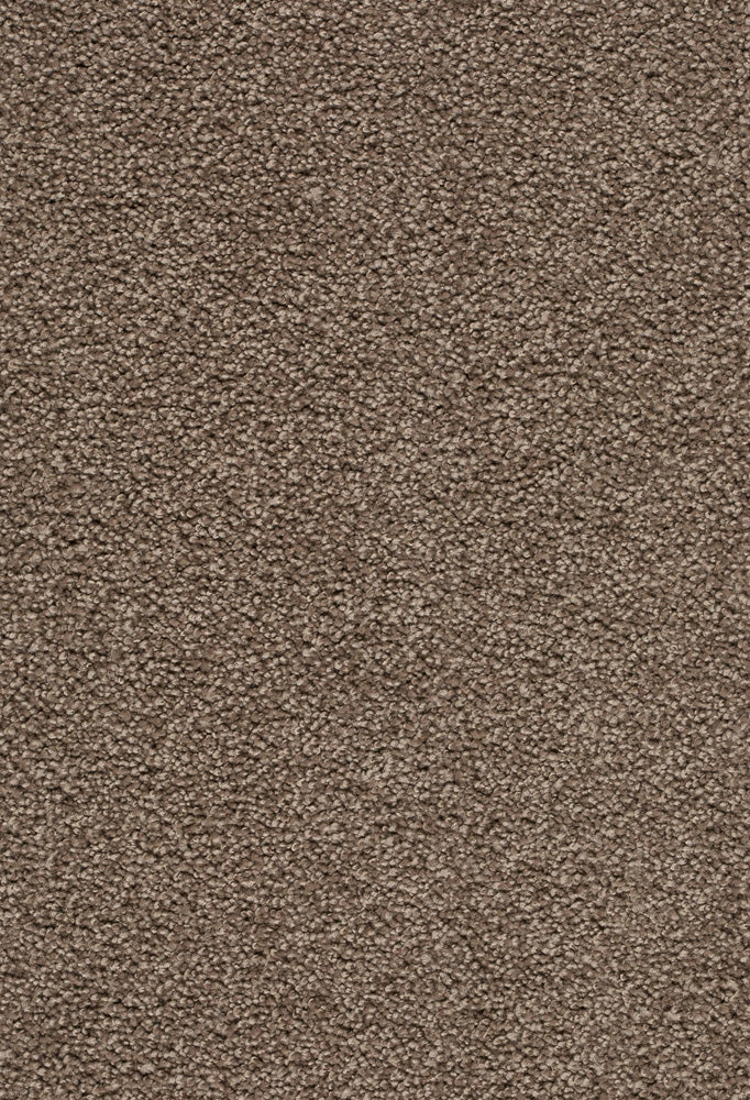 Zafira Farbe 420