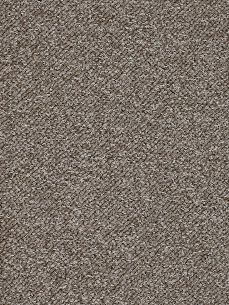 Novaris Teppichboden Farbe 79