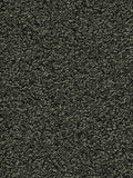 Novaris Teppichboden Farbe 45