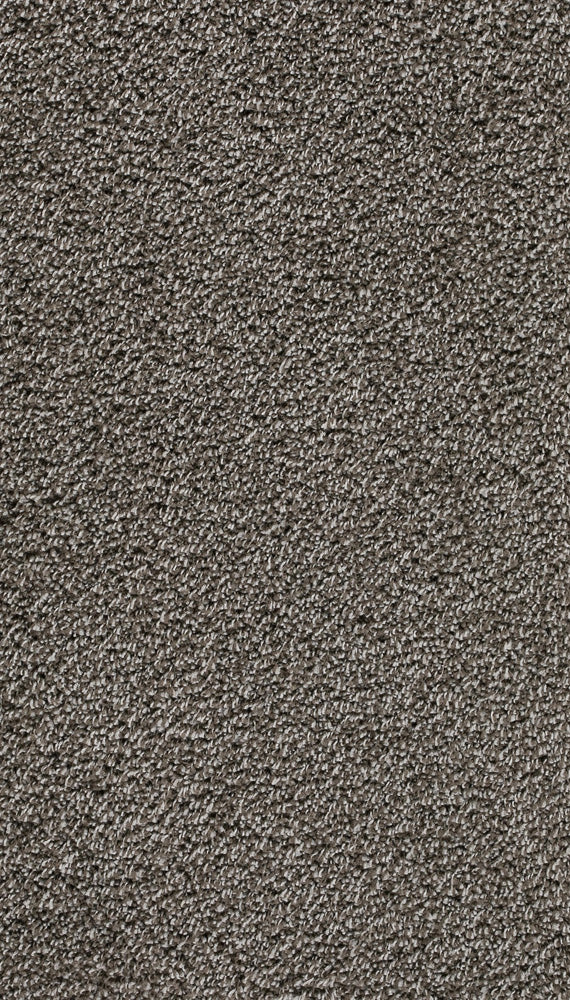 Velory Farbe 175