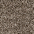 Taupe Dunkel
