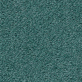 Petrol