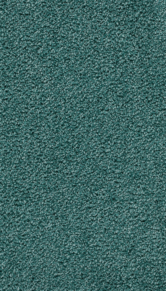 Velory Farbe 81