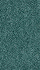 Petrol