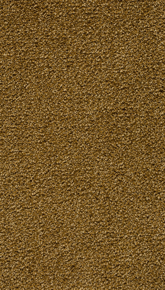 Velory Farbe 50