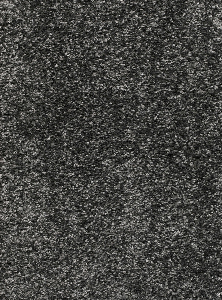 Reganza Teppichboden Farbe 298