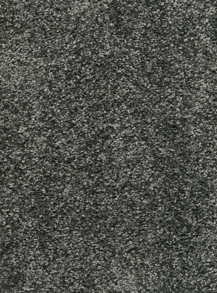 Reganza Teppichboden Farbe 297