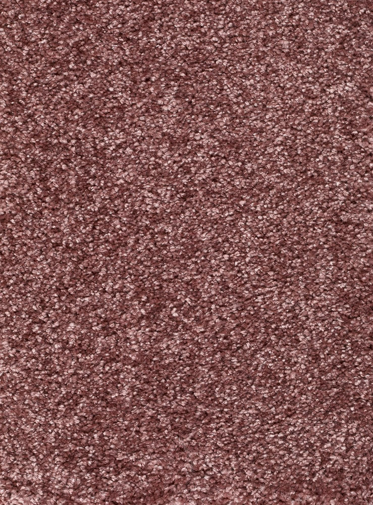 Reganza Teppichboden Farbe 62