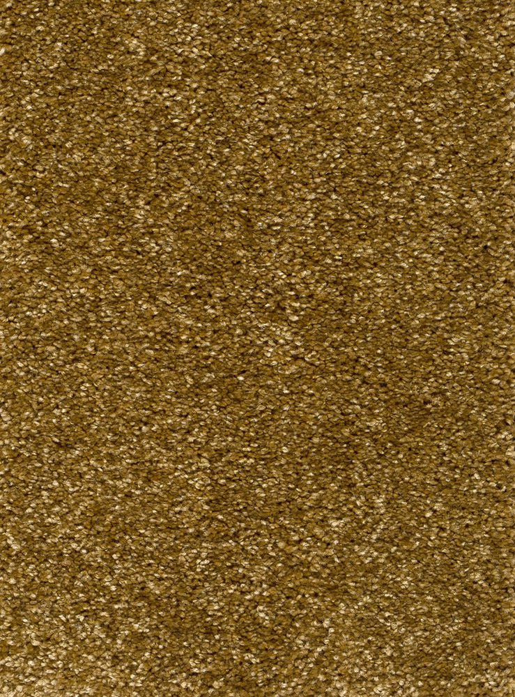 Reganza Teppichboden Farbe 55