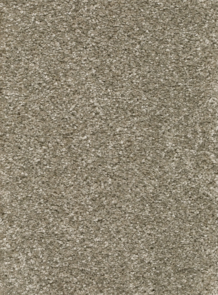 Reganza Teppichboden Farbe 48
