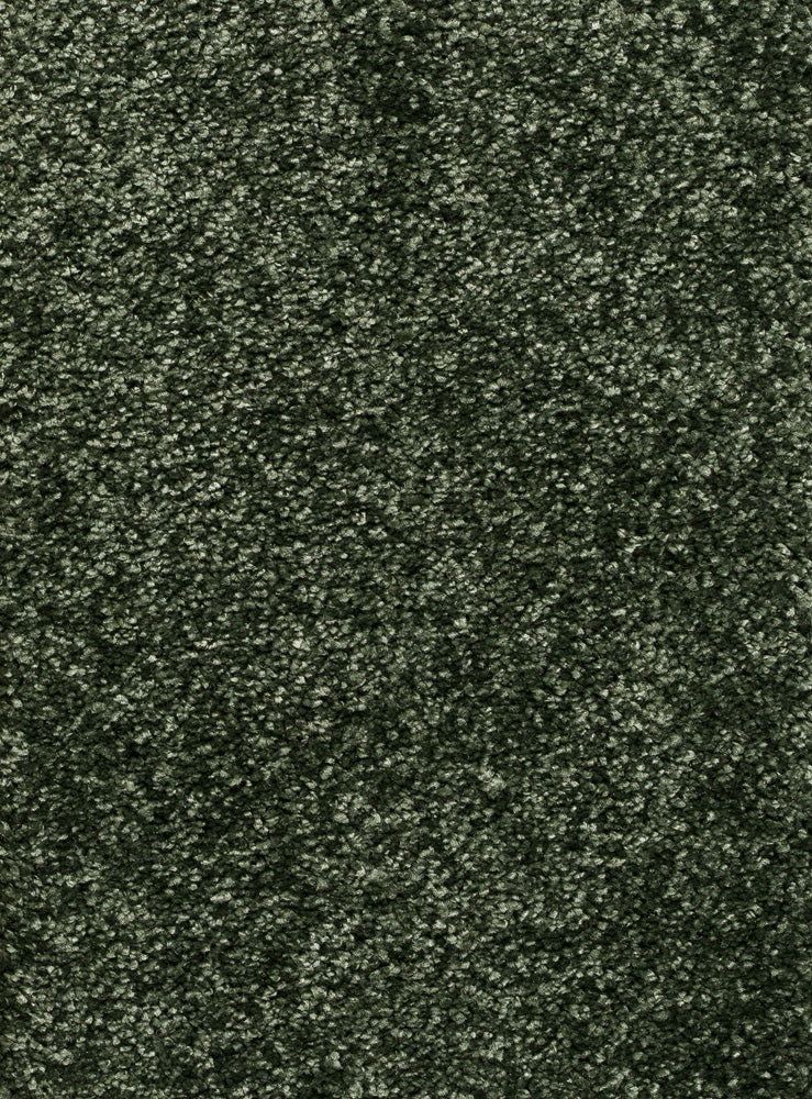 Reganza Teppichboden Farbe 28