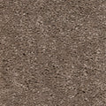 Taupe Dunkel Dunkler
