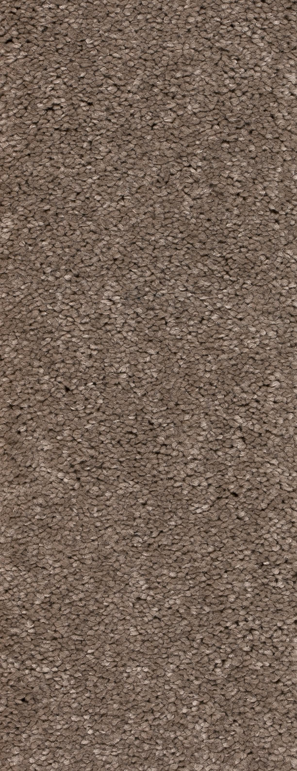 Alvento Farbe 274