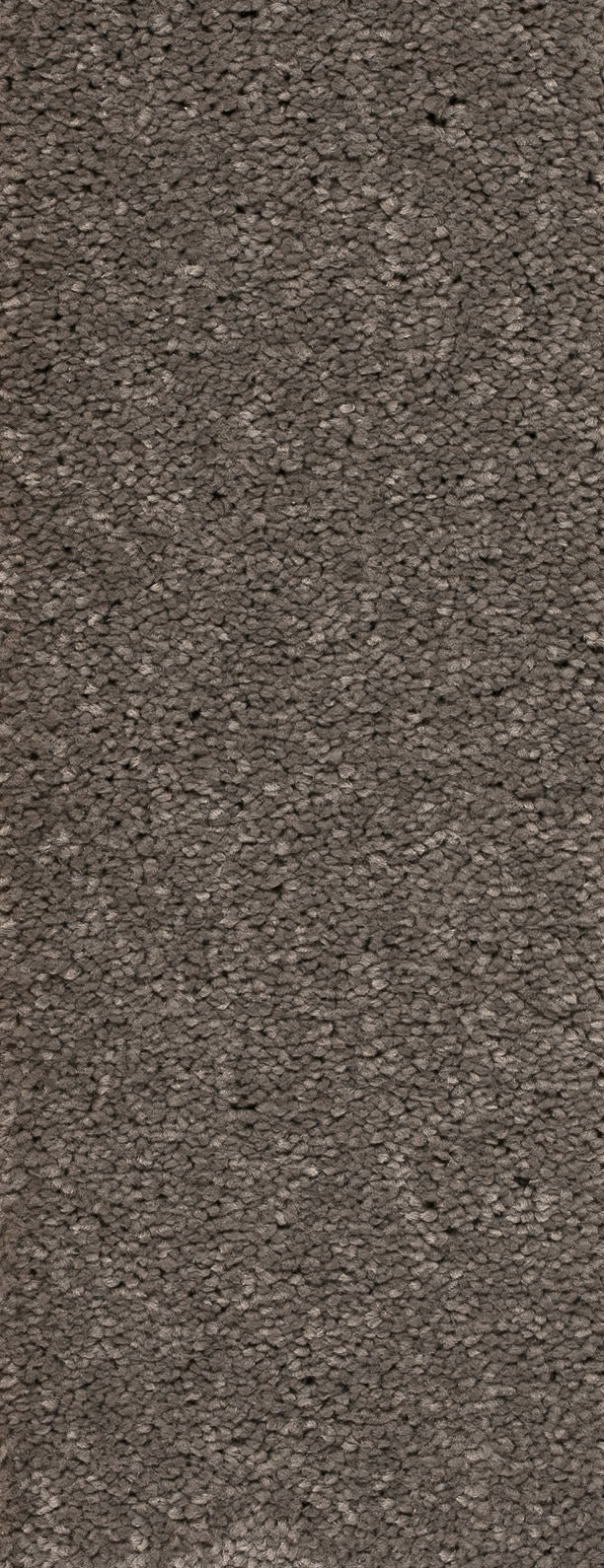 Alvento Farbe 79