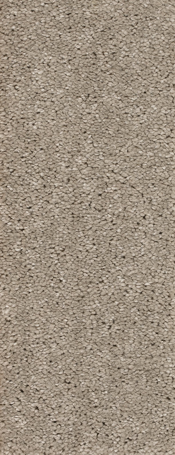Alvento Farbe 74