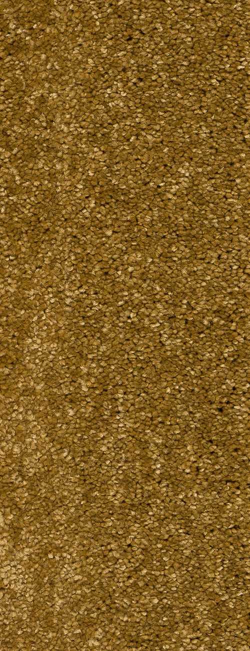 Alvento Farbe 50