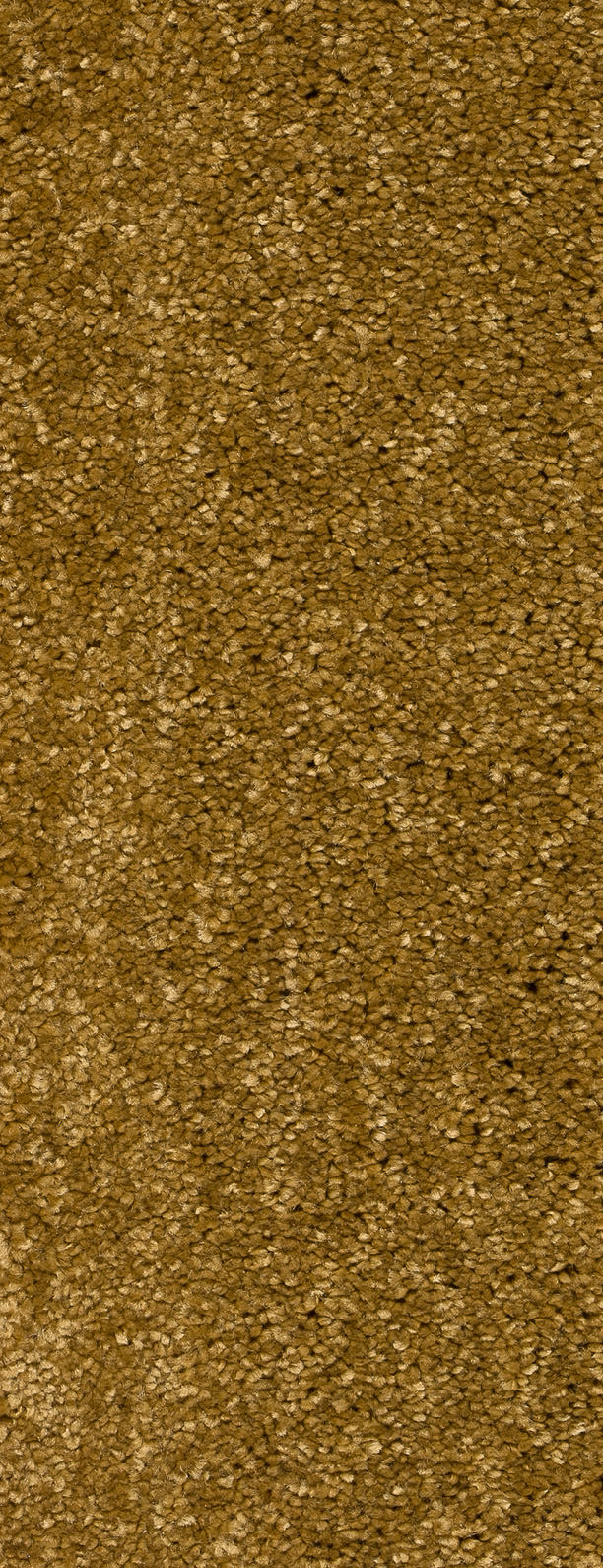 Alvento Farbe 50
